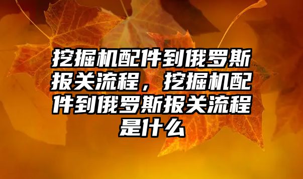 挖掘機配件到俄羅斯報關流程，挖掘機配件到俄羅斯報關流程是什么