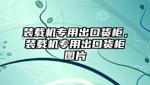 裝載機專用出口貨柜，裝載機專用出口貨柜圖片