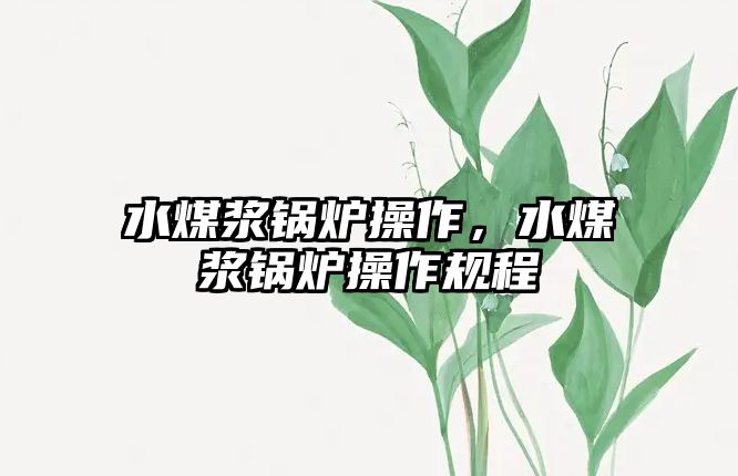 水煤漿鍋爐操作，水煤漿鍋爐操作規(guī)程