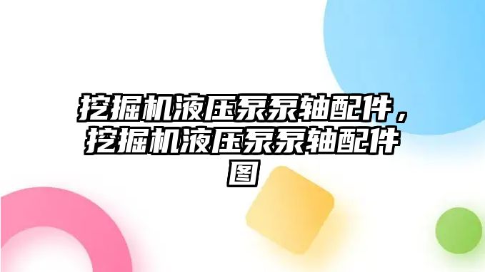 挖掘機液壓泵泵軸配件，挖掘機液壓泵泵軸配件圖