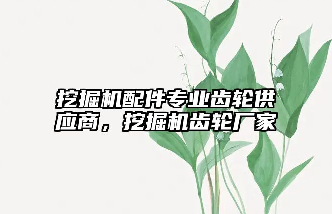 挖掘機配件專業(yè)齒輪供應商，挖掘機齒輪廠家