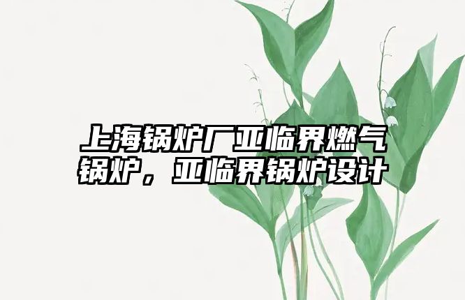 上海鍋爐廠亞臨界燃氣鍋爐，亞臨界鍋爐設計