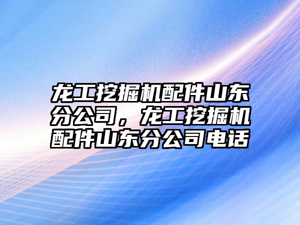 龍工挖掘機配件山東分公司，龍工挖掘機配件山東分公司電話