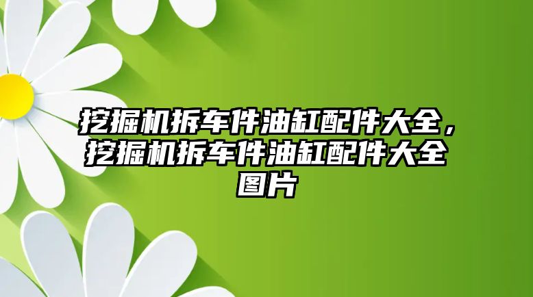 挖掘機拆車件油缸配件大全，挖掘機拆車件油缸配件大全圖片