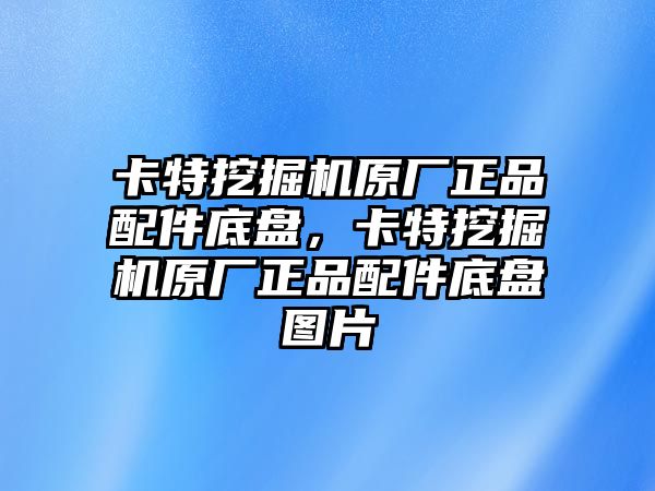 卡特挖掘機原廠正品配件底盤，卡特挖掘機原廠正品配件底盤圖片