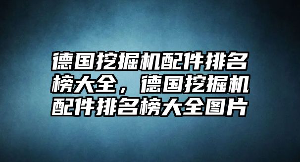 德國挖掘機(jī)配件排名榜大全，德國挖掘機(jī)配件排名榜大全圖片