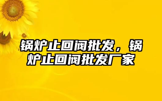 鍋爐止回閥批發，鍋爐止回閥批發廠家