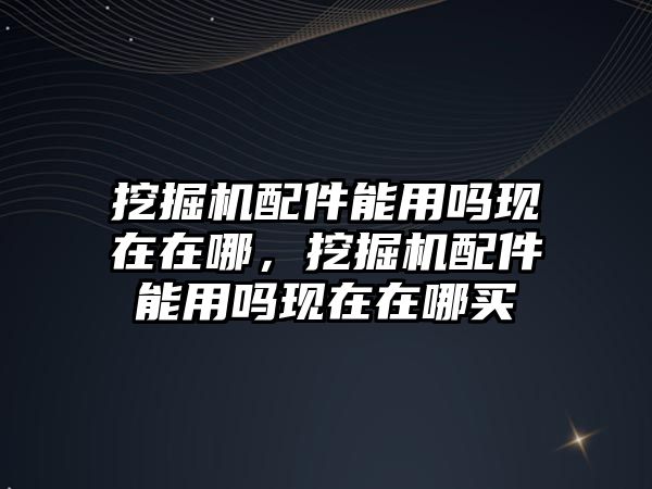 挖掘機配件能用嗎現在在哪，挖掘機配件能用嗎現在在哪買