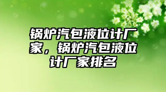 鍋爐汽包液位計廠家，鍋爐汽包液位計廠家排名