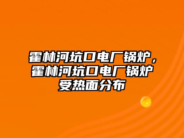 霍林河坑口電廠鍋爐，霍林河坑口電廠鍋爐受熱面分布