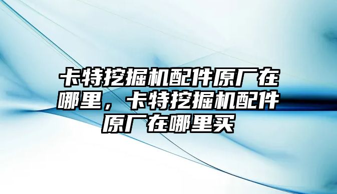 卡特挖掘機(jī)配件原廠在哪里，卡特挖掘機(jī)配件原廠在哪里買