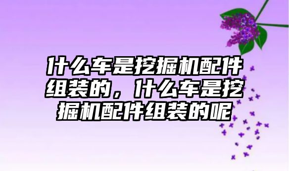 什么車是挖掘機(jī)配件組裝的，什么車是挖掘機(jī)配件組裝的呢