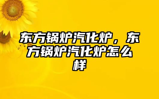 東方鍋爐汽化爐，東方鍋爐汽化爐怎么樣