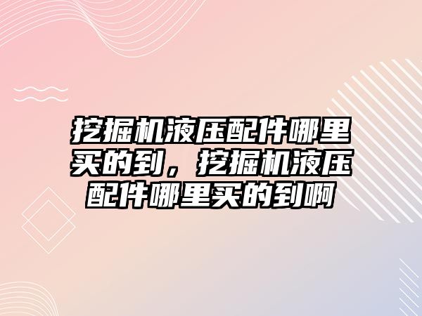 挖掘機(jī)液壓配件哪里買的到，挖掘機(jī)液壓配件哪里買的到啊