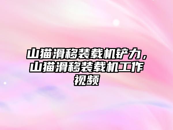 山貓滑移裝載機鏟力，山貓滑移裝載機工作視頻