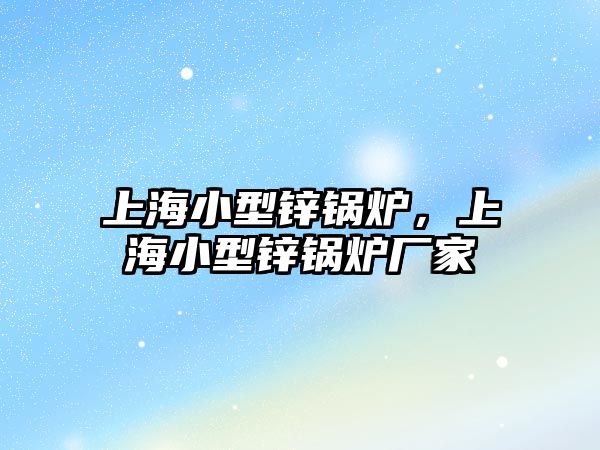 上海小型鋅鍋爐，上海小型鋅鍋爐廠家