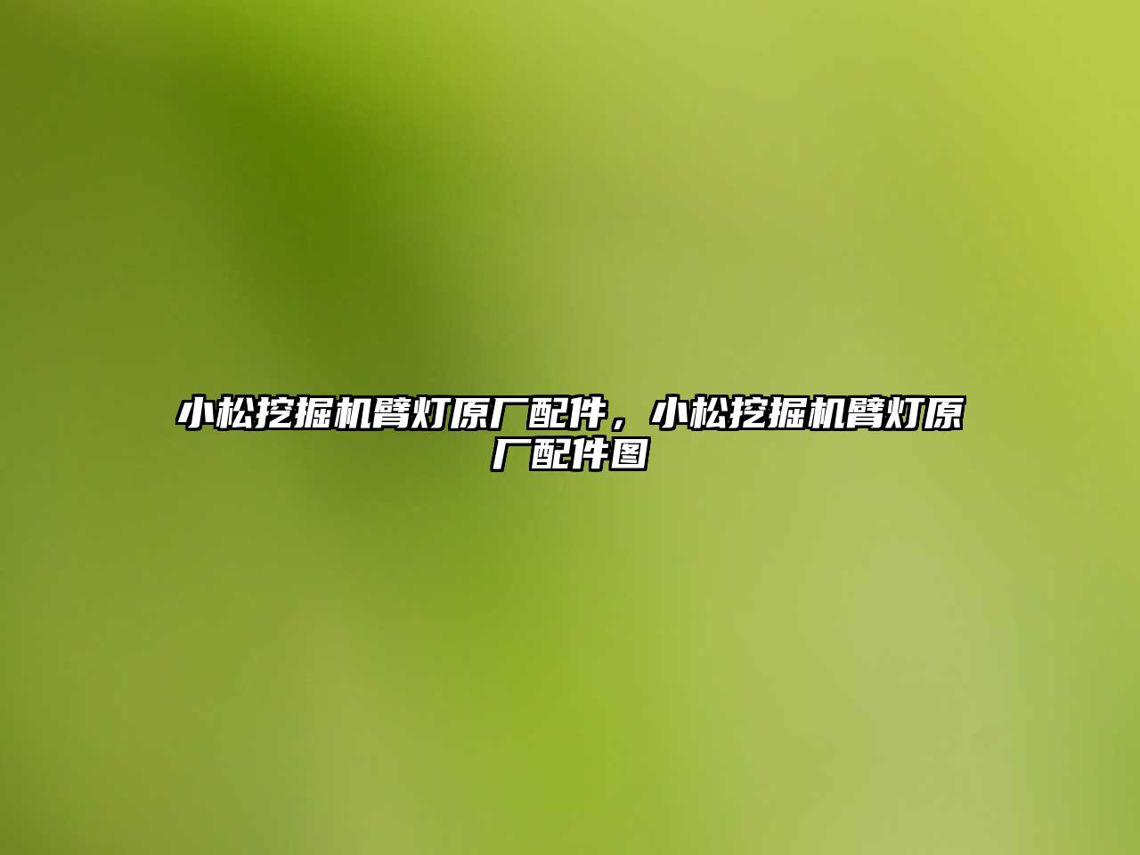 小松挖掘機臂燈原廠配件，小松挖掘機臂燈原廠配件圖