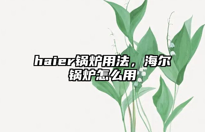 haier鍋爐用法，海爾鍋爐怎么用