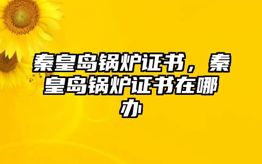 秦皇島鍋爐證書，秦皇島鍋爐證書在哪辦