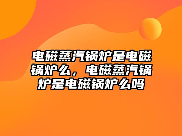 電磁蒸汽鍋爐是電磁鍋爐么，電磁蒸汽鍋爐是電磁鍋爐么嗎