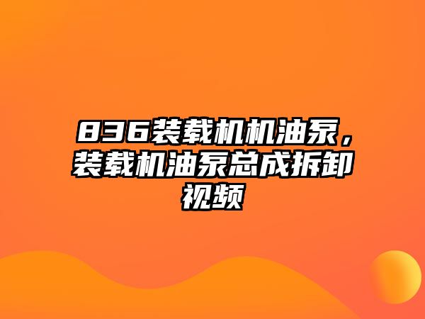 836裝載機機油泵，裝載機油泵總成拆卸視頻