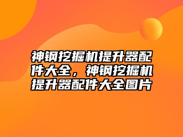 神鋼挖掘機提升器配件大全，神鋼挖掘機提升器配件大全圖片