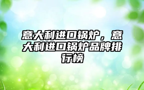 意大利進(jìn)口鍋爐，意大利進(jìn)口鍋爐品牌排行榜