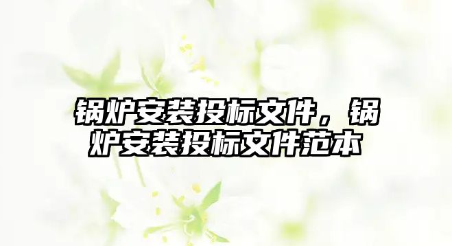 鍋爐安裝投標文件，鍋爐安裝投標文件范本