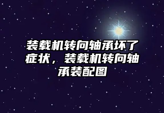 裝載機轉向軸承壞了癥狀，裝載機轉向軸承裝配圖