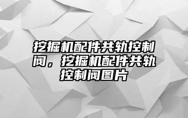 挖掘機配件共軌控制閥，挖掘機配件共軌控制閥圖片