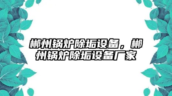 郴州鍋爐除垢設備，郴州鍋爐除垢設備廠家