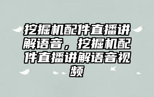 挖掘機(jī)配件直播講解語音，挖掘機(jī)配件直播講解語音視頻