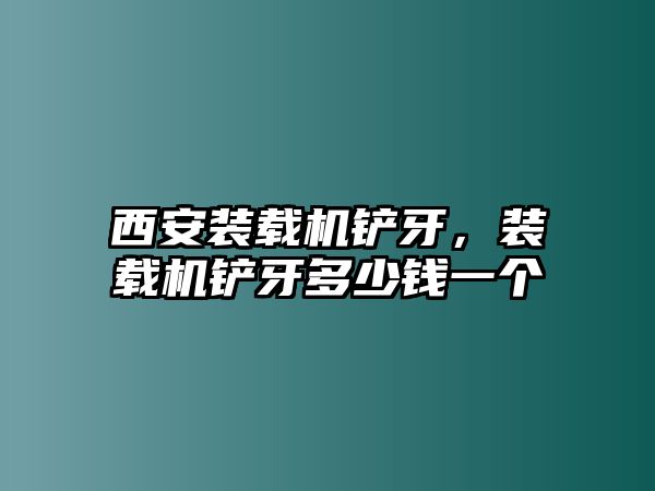 西安裝載機(jī)鏟牙，裝載機(jī)鏟牙多少錢一個(gè)