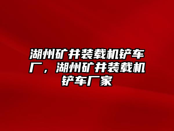 湖州礦井裝載機鏟車廠，湖州礦井裝載機鏟車廠家