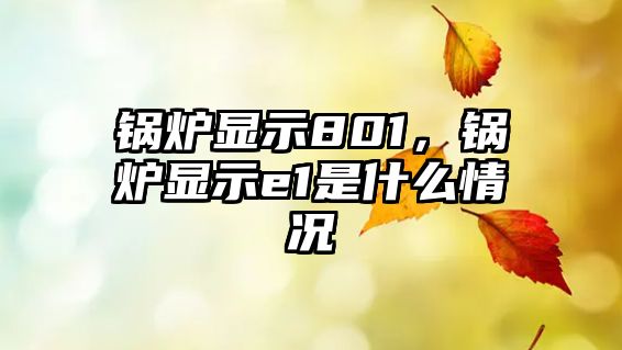 鍋爐顯示801，鍋爐顯示e1是什么情況