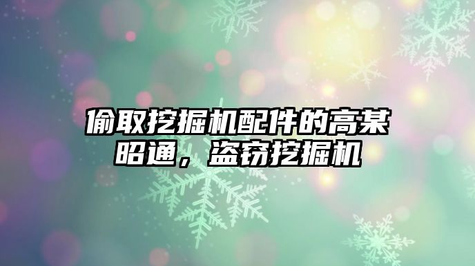 偷取挖掘機配件的高某昭通，盜竊挖掘機