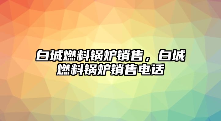 白城燃料鍋爐銷售，白城燃料鍋爐銷售電話