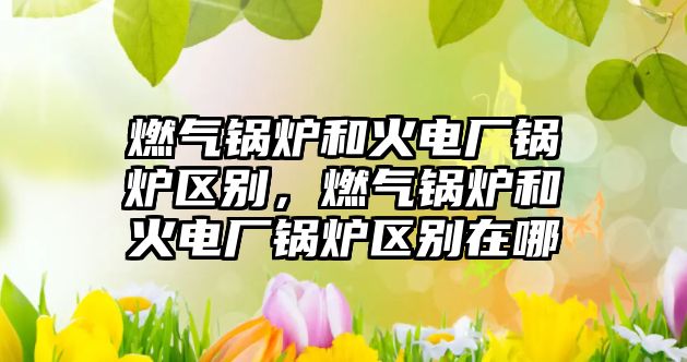 燃氣鍋爐和火電廠鍋爐區別，燃氣鍋爐和火電廠鍋爐區別在哪