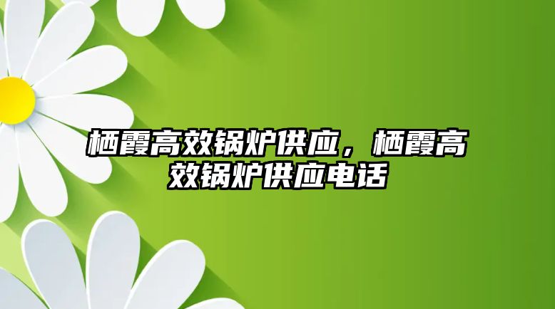 棲霞高效鍋爐供應，棲霞高效鍋爐供應電話