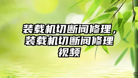 裝載機切斷閥修理，裝載機切斷閥修理視頻