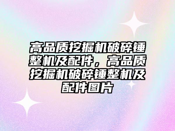 高品質挖掘機破碎錘整機及配件，高品質挖掘機破碎錘整機及配件圖片