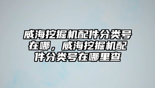 威海挖掘機(jī)配件分類號在哪，威海挖掘機(jī)配件分類號在哪里查