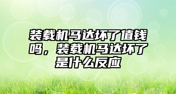 裝載機馬達壞了值錢嗎，裝載機馬達壞了是什么反應