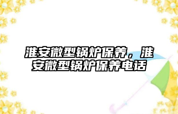 淮安微型鍋爐保養，淮安微型鍋爐保養電話