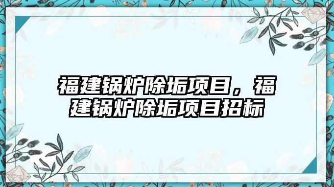 福建鍋爐除垢項目，福建鍋爐除垢項目招標