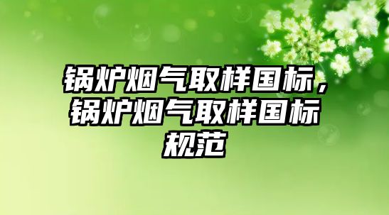 鍋爐煙氣取樣國標，鍋爐煙氣取樣國標規范