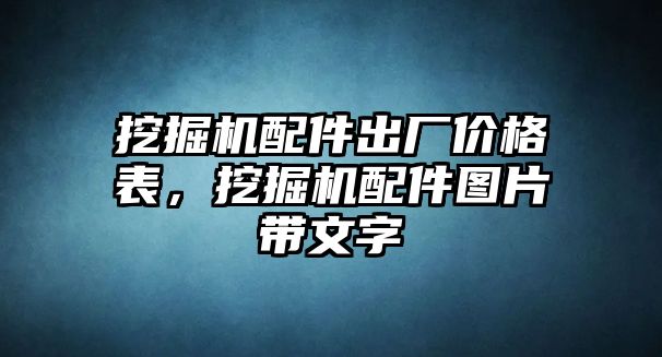 挖掘機(jī)配件出廠價(jià)格表，挖掘機(jī)配件圖片帶文字