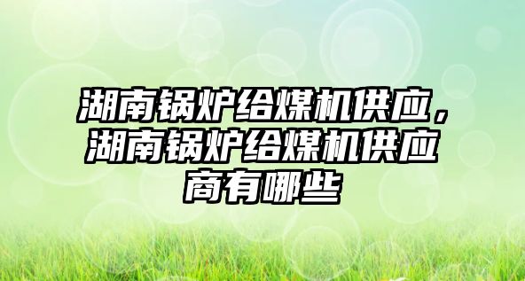 湖南鍋爐給煤機供應，湖南鍋爐給煤機供應商有哪些