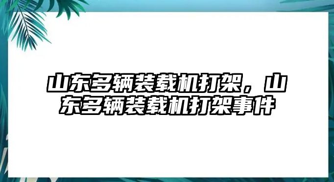 山東多輛裝載機打架，山東多輛裝載機打架事件