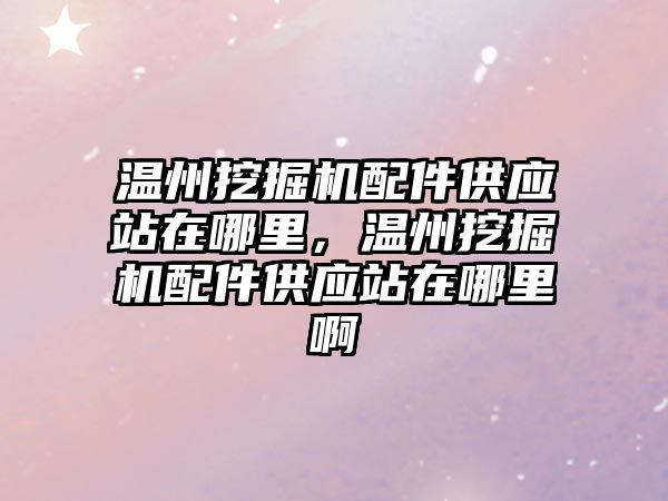 溫州挖掘機配件供應站在哪里，溫州挖掘機配件供應站在哪里啊